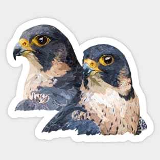 Peregrine falcon Sticker